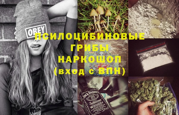 дживик Алексин